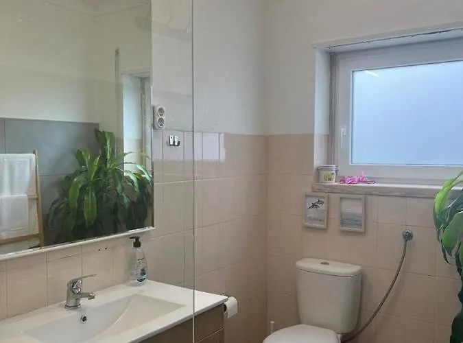 Apartment South